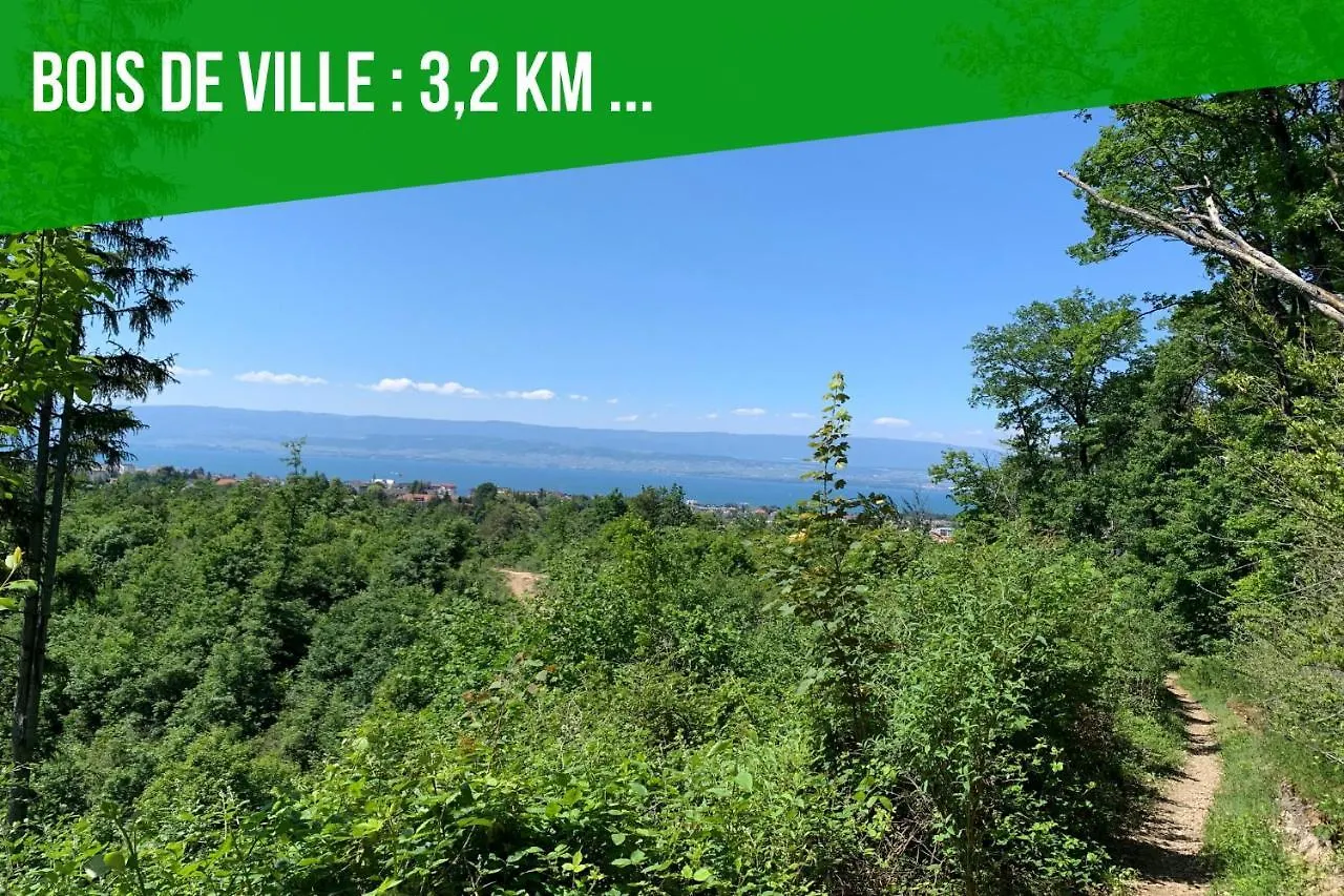 Viva Leman- Hypercentre - Vue Panoramique- Parking - Wifi Apartment Thonon-les-Bains 0*,  France
